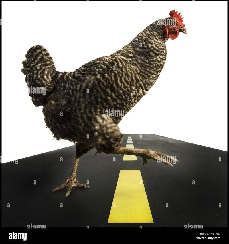 Explore chicken road oficial