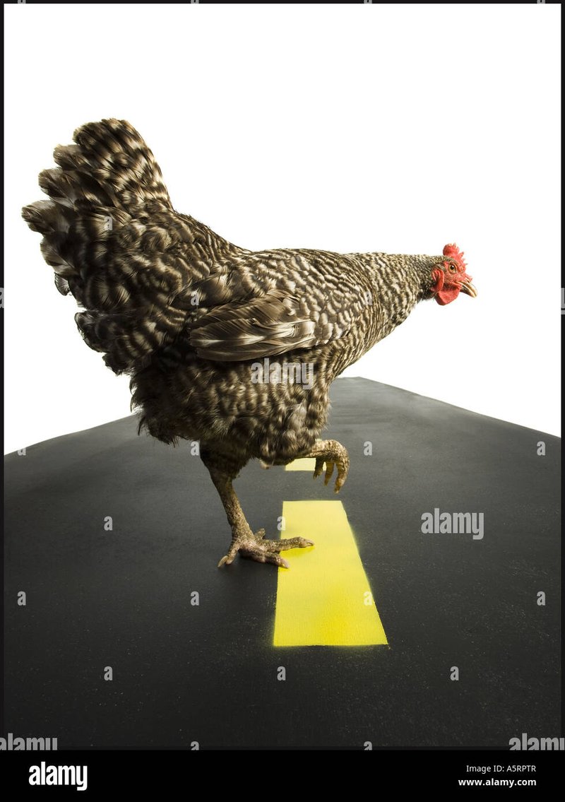 Descubre el Misterio detrás de Chicken Road Casino en España