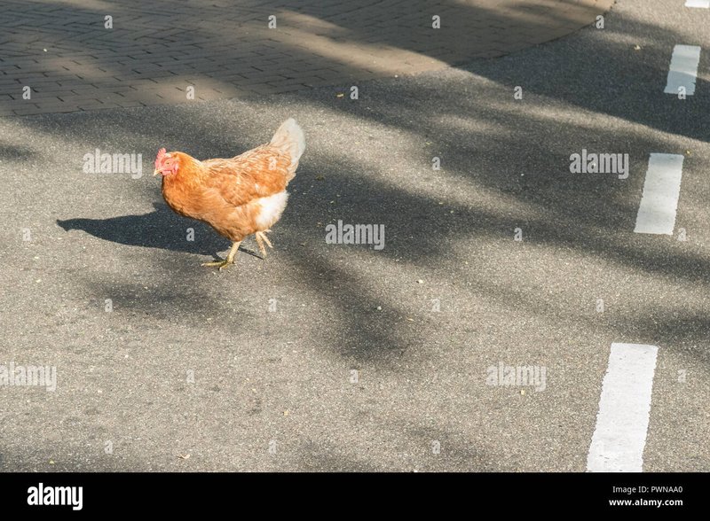 Descoperă Secretele Jocului Chicken Road la Casino și în România, chicken road slot
