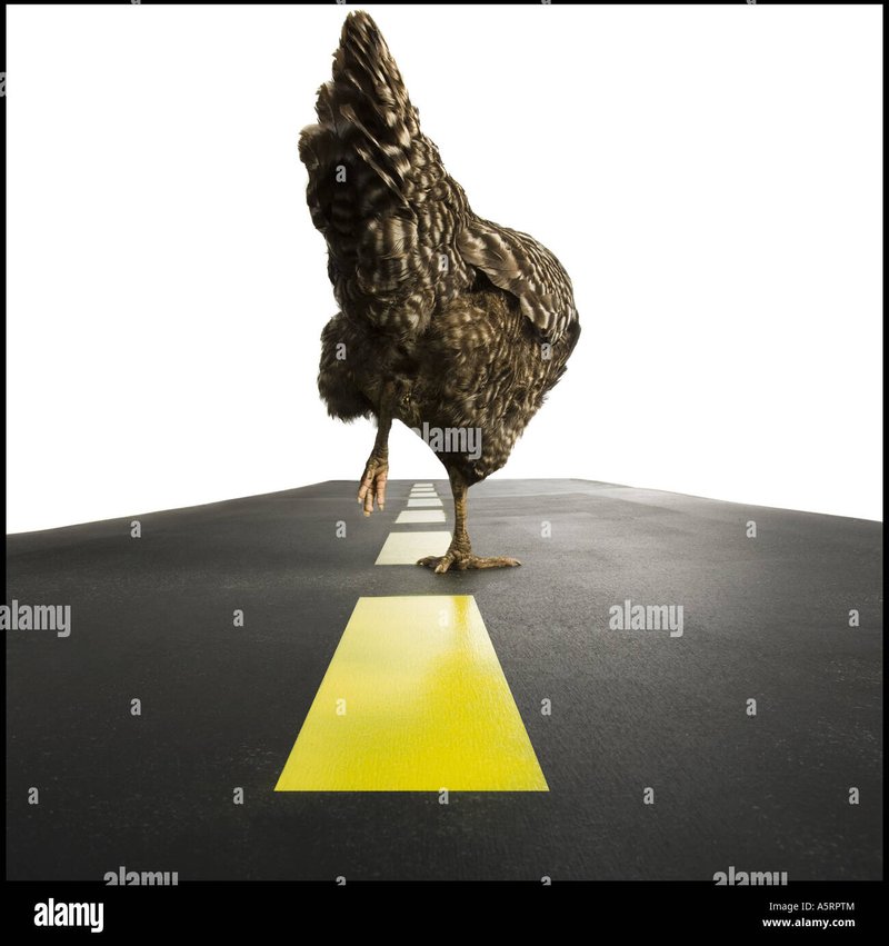 Chicken road casino - Jocul de Noroc Avânturos: Explorăm Jocul Chicken Road din Romania